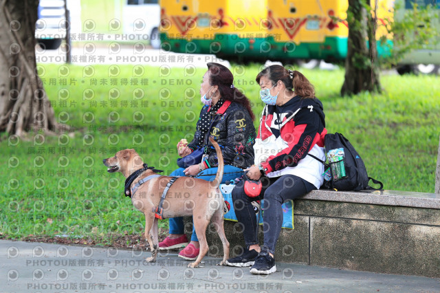 2021第四屆奔跑吧!毛小孩路跑綠寶石寵物公園場