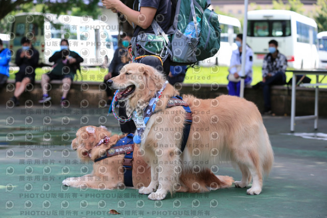 2021第四屆奔跑吧!毛小孩路跑綠寶石寵物公園場