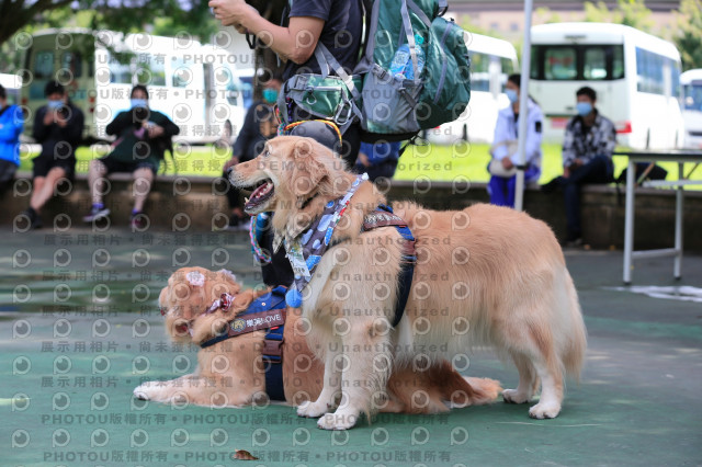 2021第四屆奔跑吧!毛小孩路跑綠寶石寵物公園場