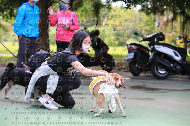2021第四屆奔跑吧!毛小孩路跑綠寶石寵物公園場