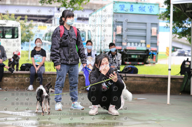 2021第四屆奔跑吧!毛小孩路跑綠寶石寵物公園場