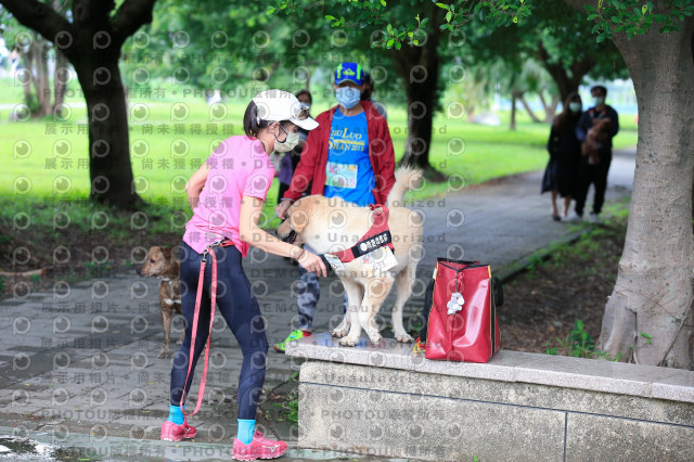 2021第四屆奔跑吧!毛小孩路跑綠寶石寵物公園場