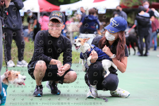 2021第四屆奔跑吧!毛小孩路跑綠寶石寵物公園場