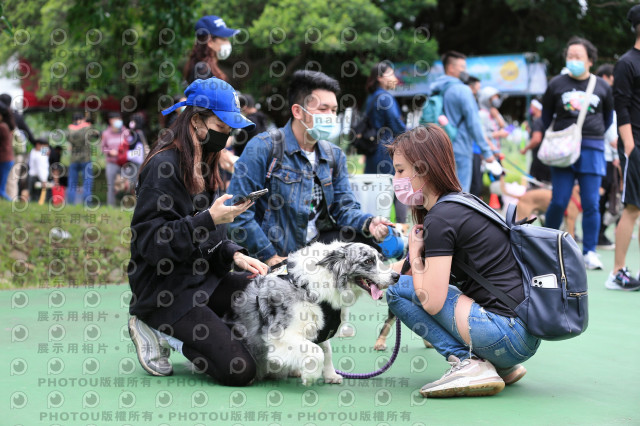 2021第四屆奔跑吧!毛小孩路跑綠寶石寵物公園場