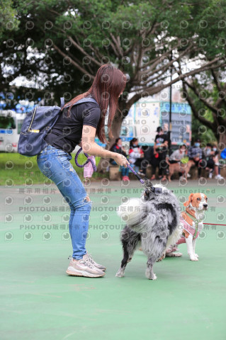 2021第四屆奔跑吧!毛小孩路跑綠寶石寵物公園場