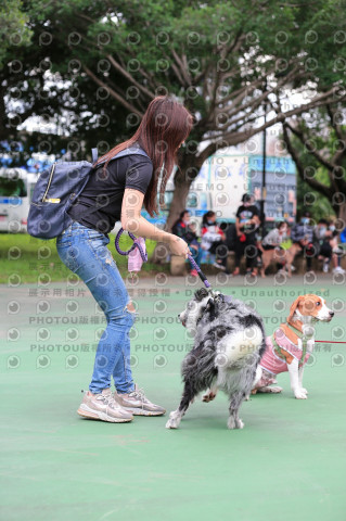 2021第四屆奔跑吧!毛小孩路跑綠寶石寵物公園場