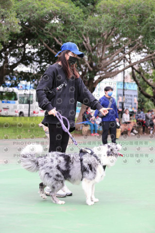 2021第四屆奔跑吧!毛小孩路跑綠寶石寵物公園場