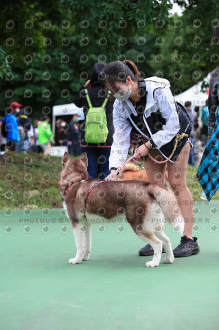 2021第四屆奔跑吧!毛小孩路跑綠寶石寵物公園場