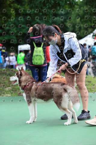 2021第四屆奔跑吧!毛小孩路跑綠寶石寵物公園場