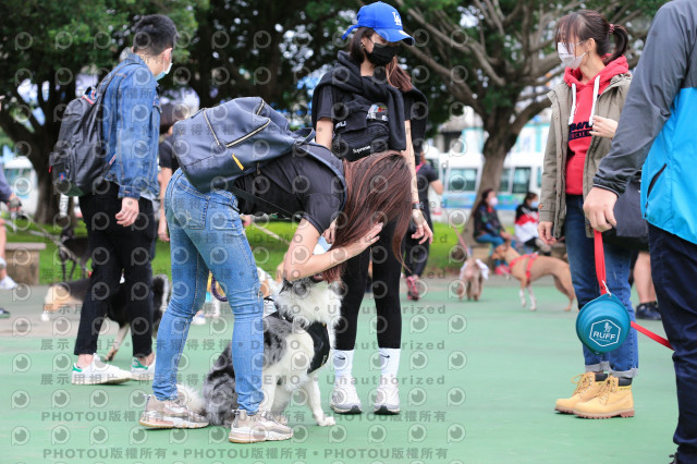 2021第四屆奔跑吧!毛小孩路跑綠寶石寵物公園場