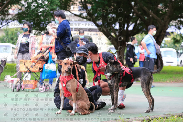 2021第四屆奔跑吧!毛小孩路跑綠寶石寵物公園場