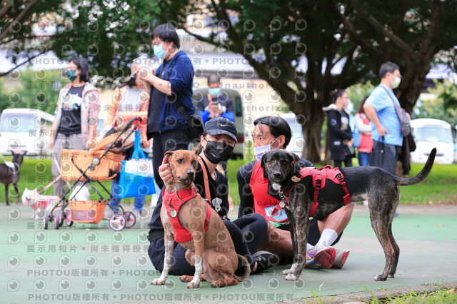 2021第四屆奔跑吧!毛小孩路跑綠寶石寵物公園場