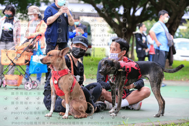 2021第四屆奔跑吧!毛小孩路跑綠寶石寵物公園場