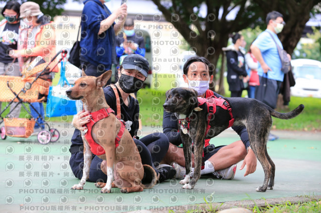 2021第四屆奔跑吧!毛小孩路跑綠寶石寵物公園場