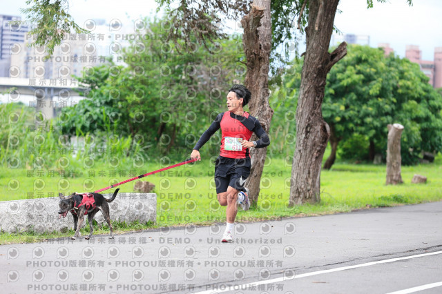 2021第四屆奔跑吧!毛小孩路跑綠寶石寵物公園場