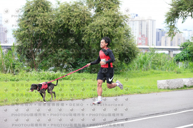 2021第四屆奔跑吧!毛小孩路跑綠寶石寵物公園場