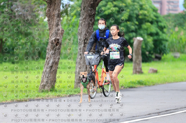 2021第四屆奔跑吧!毛小孩路跑綠寶石寵物公園場