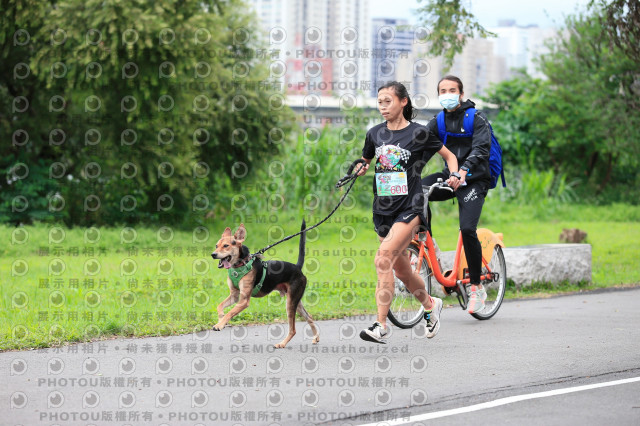 2021第四屆奔跑吧!毛小孩路跑綠寶石寵物公園場