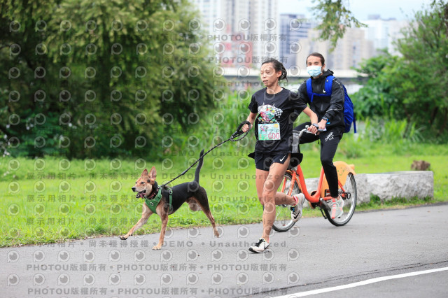 2021第四屆奔跑吧!毛小孩路跑綠寶石寵物公園場