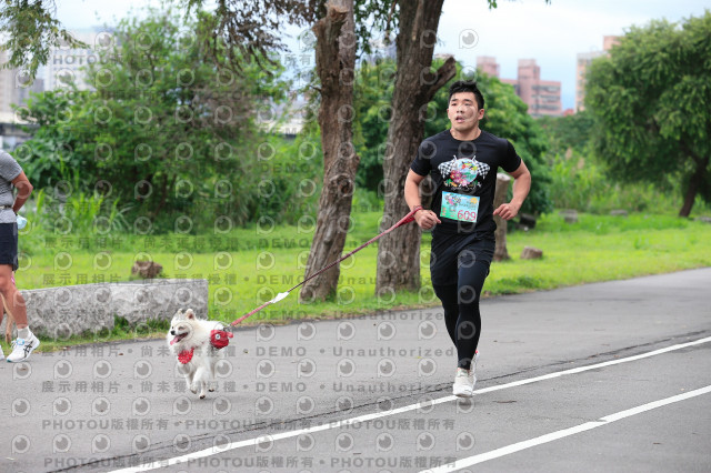 2021第四屆奔跑吧!毛小孩路跑綠寶石寵物公園場