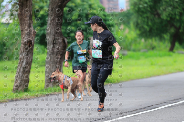 2021第四屆奔跑吧!毛小孩路跑綠寶石寵物公園場