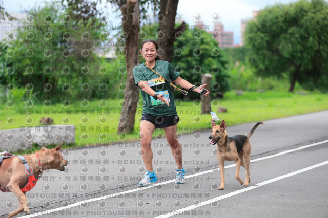 2021第四屆奔跑吧!毛小孩路跑綠寶石寵物公園場