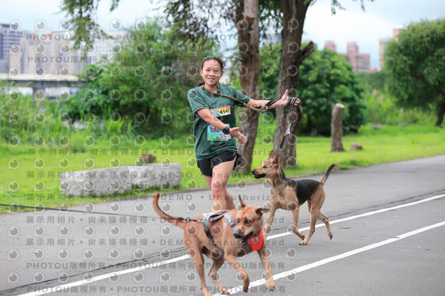 2021第四屆奔跑吧!毛小孩路跑綠寶石寵物公園場