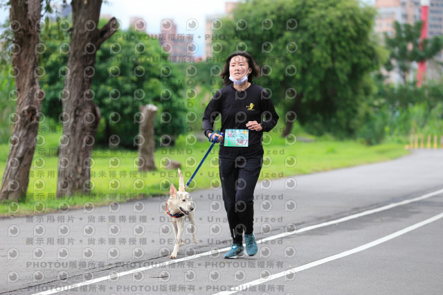 2021第四屆奔跑吧!毛小孩路跑綠寶石寵物公園場