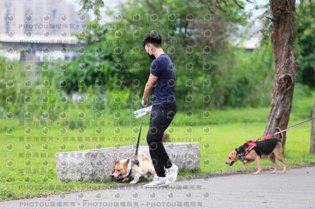 2021第四屆奔跑吧!毛小孩路跑綠寶石寵物公園場