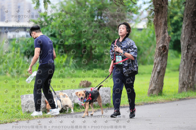 2021第四屆奔跑吧!毛小孩路跑綠寶石寵物公園場