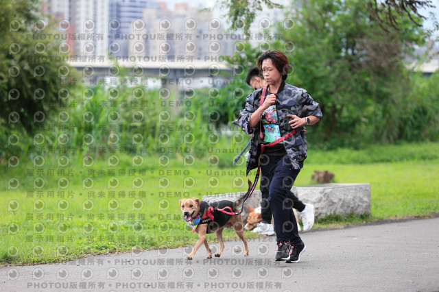 2021第四屆奔跑吧!毛小孩路跑綠寶石寵物公園場