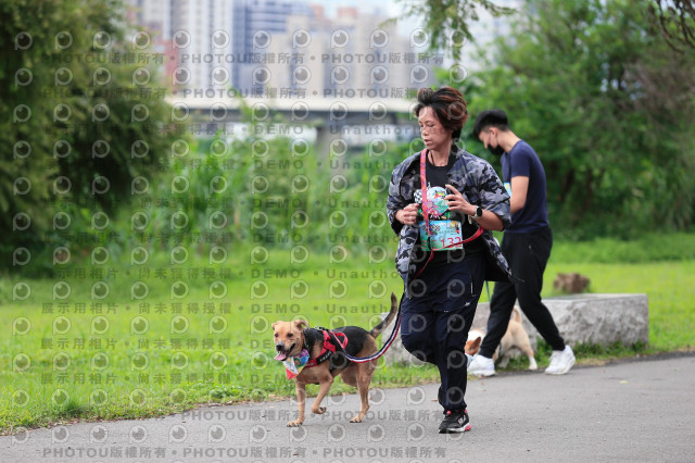 2021第四屆奔跑吧!毛小孩路跑綠寶石寵物公園場