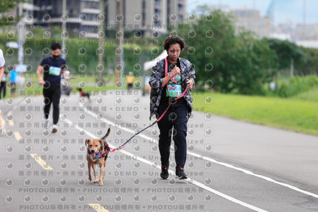 2021第四屆奔跑吧!毛小孩路跑綠寶石寵物公園場