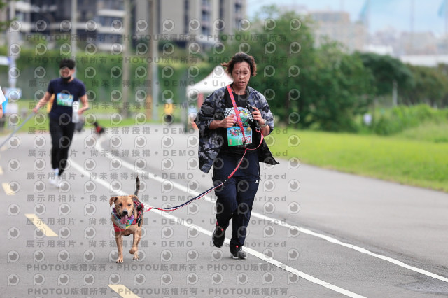 2021第四屆奔跑吧!毛小孩路跑綠寶石寵物公園場