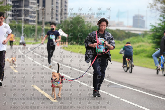 2021第四屆奔跑吧!毛小孩路跑綠寶石寵物公園場