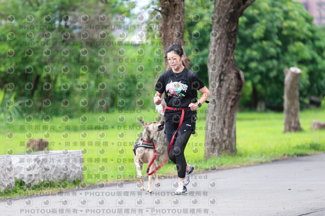 2021第四屆奔跑吧!毛小孩路跑綠寶石寵物公園場