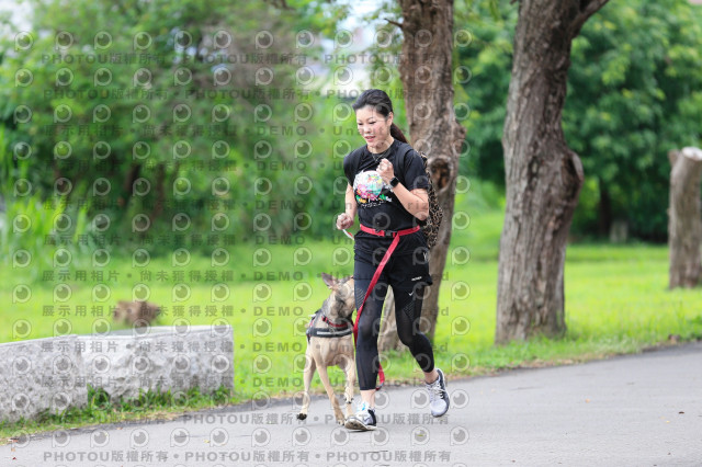 2021第四屆奔跑吧!毛小孩路跑綠寶石寵物公園場