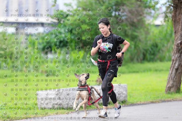 2021第四屆奔跑吧!毛小孩路跑綠寶石寵物公園場