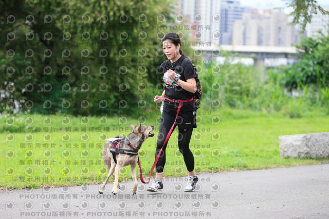 2021第四屆奔跑吧!毛小孩路跑綠寶石寵物公園場