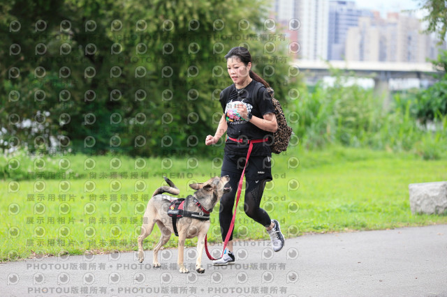 2021第四屆奔跑吧!毛小孩路跑綠寶石寵物公園場