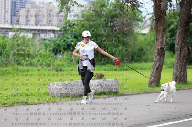 2021第四屆奔跑吧!毛小孩路跑綠寶石寵物公園場