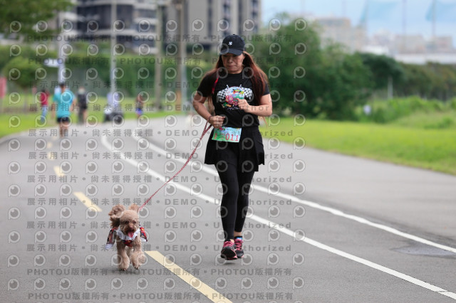 2021第四屆奔跑吧!毛小孩路跑綠寶石寵物公園場