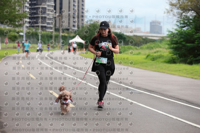 2021第四屆奔跑吧!毛小孩路跑綠寶石寵物公園場