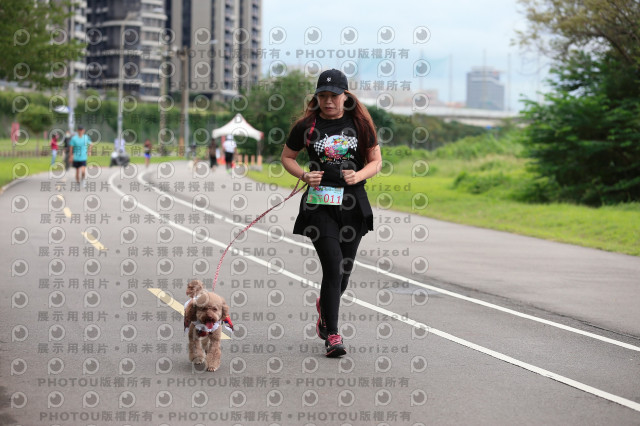 2021第四屆奔跑吧!毛小孩路跑綠寶石寵物公園場