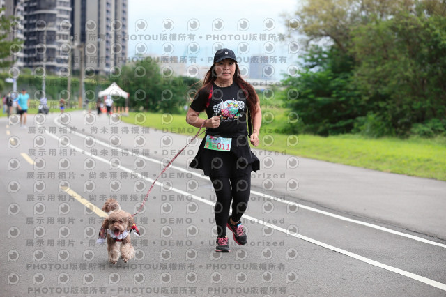 2021第四屆奔跑吧!毛小孩路跑綠寶石寵物公園場