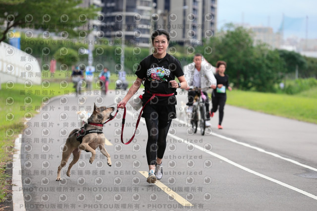 2021第四屆奔跑吧!毛小孩路跑綠寶石寵物公園場