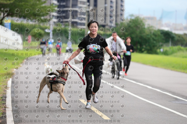 2021第四屆奔跑吧!毛小孩路跑綠寶石寵物公園場