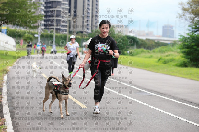 2021第四屆奔跑吧!毛小孩路跑綠寶石寵物公園場