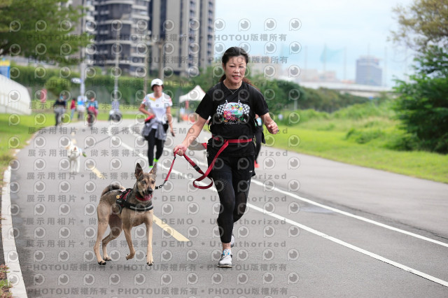 2021第四屆奔跑吧!毛小孩路跑綠寶石寵物公園場