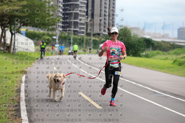 2021第四屆奔跑吧!毛小孩路跑綠寶石寵物公園場